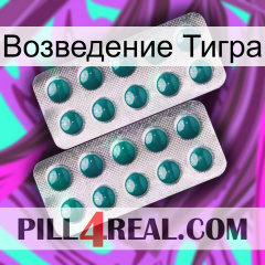 Возведение Тигра dapoxetine2